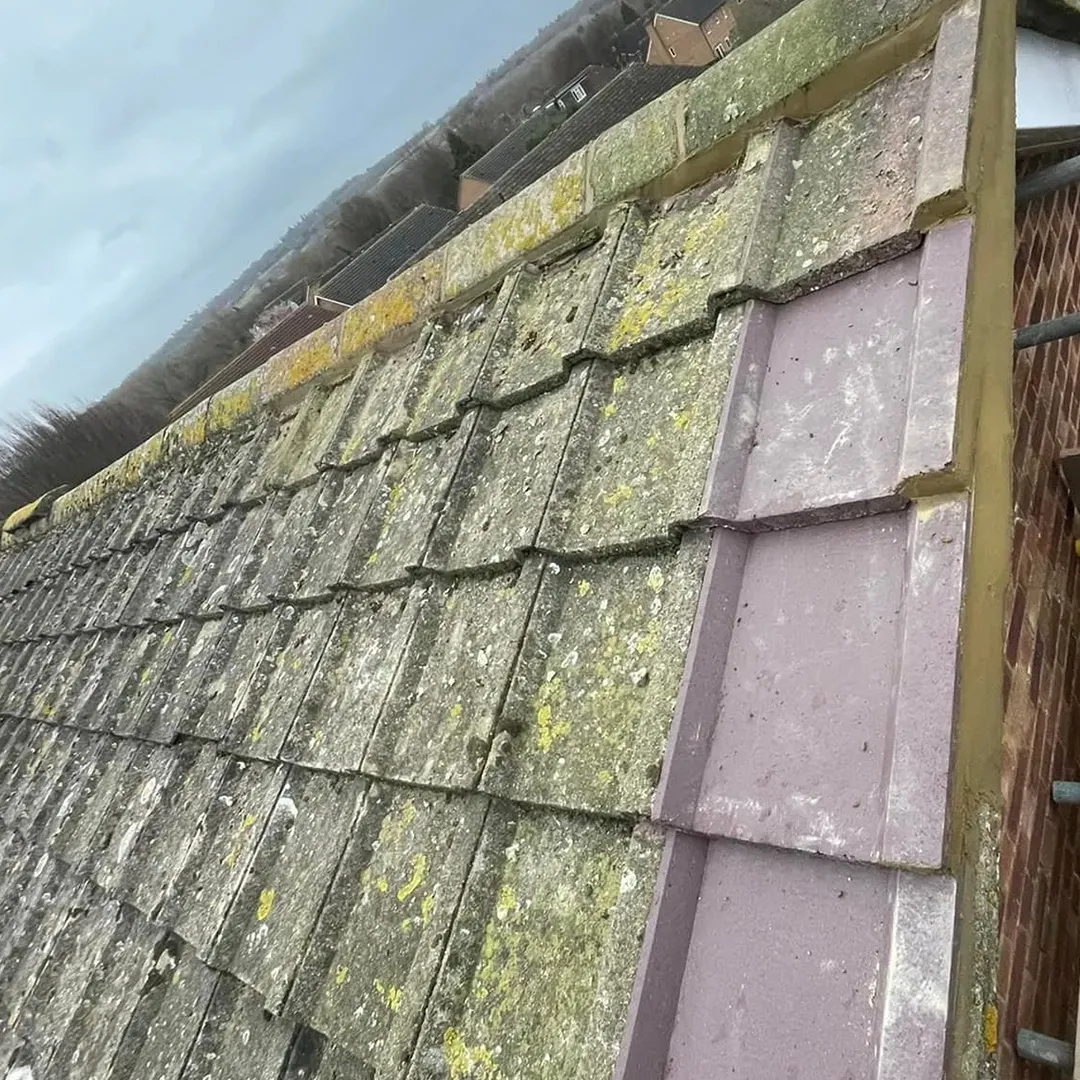 Roof fixed