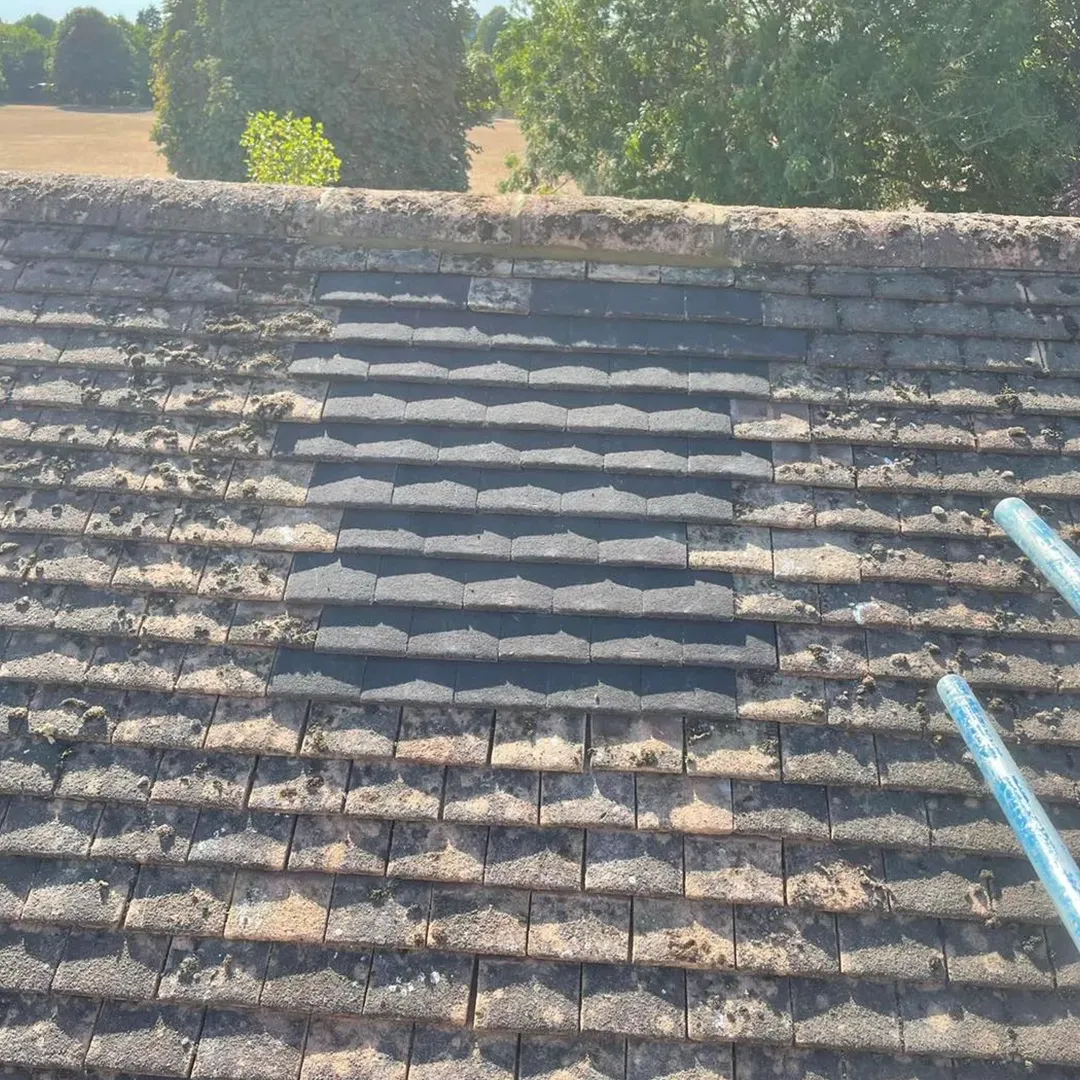 new brick to replace hole