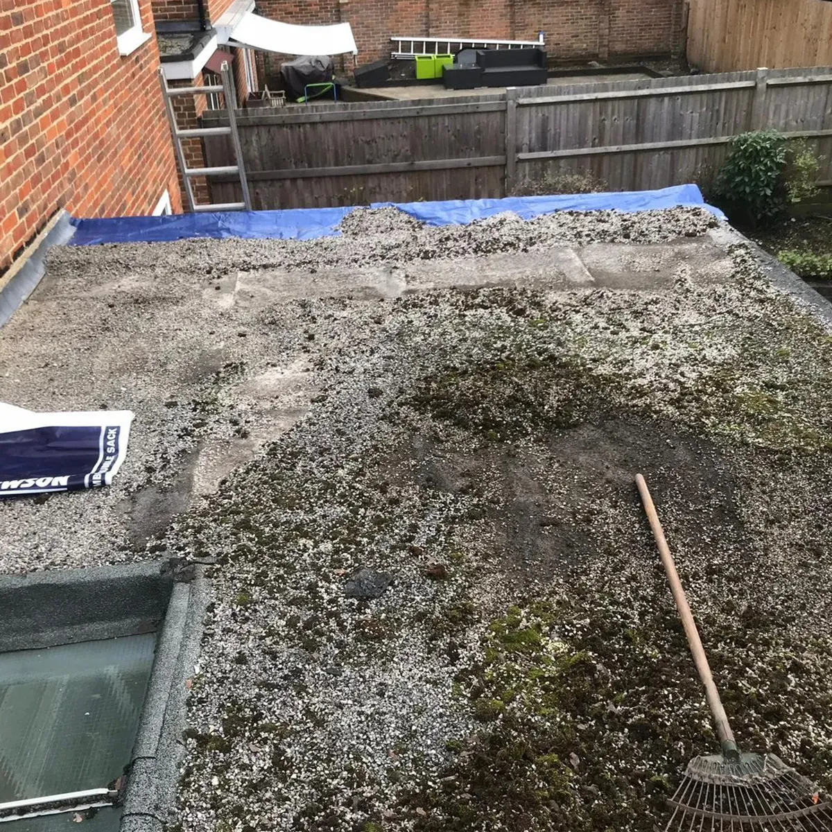 mose flat roof 