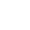 bullet icon
